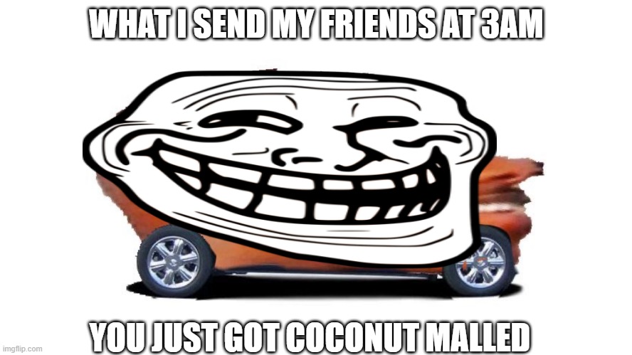He | WHAT I SEND MY FRIENDS AT 3AM; YOU JUST GOT COCONUT MALLED | image tagged in 3am,coconut | made w/ Imgflip meme maker