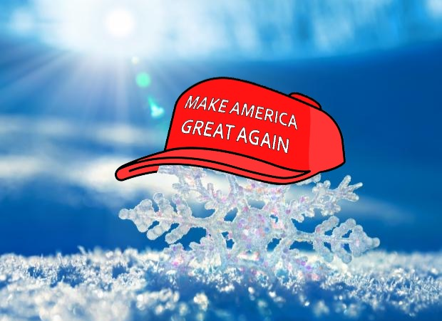 High Quality MAGA snowflake Blank Meme Template