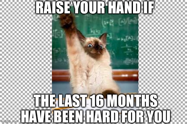 Free | RAISE YOUR HAND IF; THE LAST 16 MONTHS HAVE BEEN HARD FOR YOU | image tagged in free | made w/ Imgflip meme maker