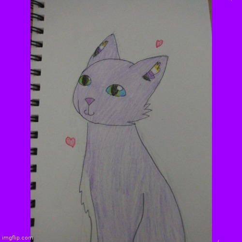 Made a subtle non-binary cat for a friend <3 | image tagged in non binary,drawing,cat | made w/ Imgflip meme maker