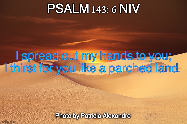 The Lord Our Oasis | PSALM 143:6 NIV; I spread out my hands to you; I thirst for you like a parched land. Photo by Patricia Alexandre | image tagged in our life source | made w/ Imgflip meme maker