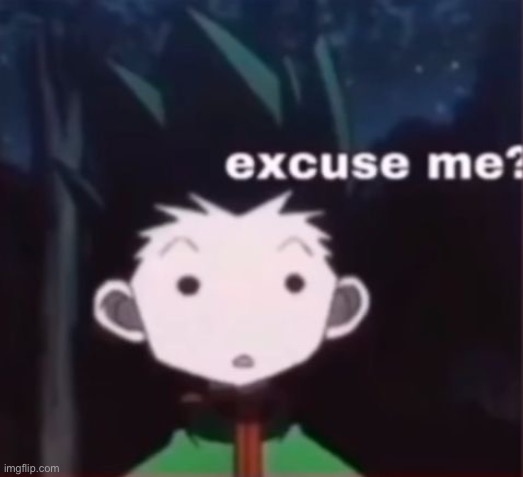 Excuse me | image tagged in excuse me | made w/ Imgflip meme maker