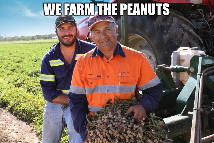 WE FARM THE PEANUTS | image tagged in peanuts | made w/ Imgflip meme maker