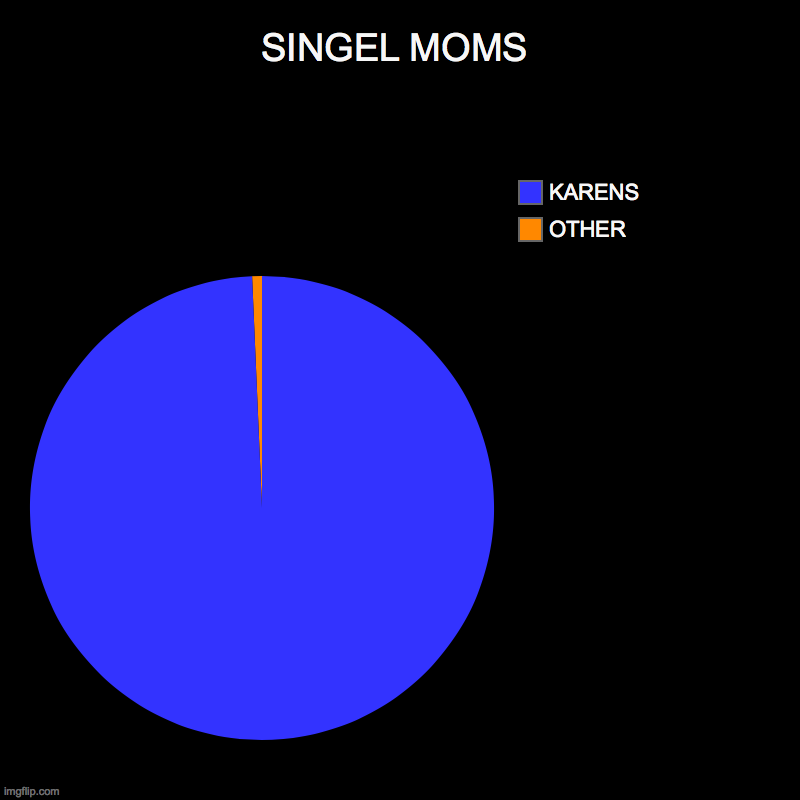 SINGEL MOMS | OTHER, KARENS | image tagged in charts,pie charts | made w/ Imgflip chart maker
