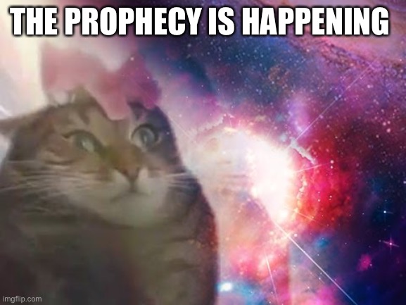 the prophecy is true cat | THE PROPHECY IS HAPPENING | image tagged in the prophecy is true cat | made w/ Imgflip meme maker