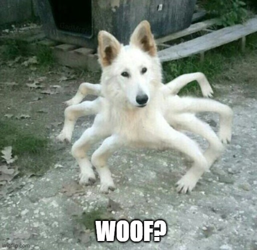 Woof? |  WOOF? | image tagged in good dog scary dog | made w/ Imgflip meme maker