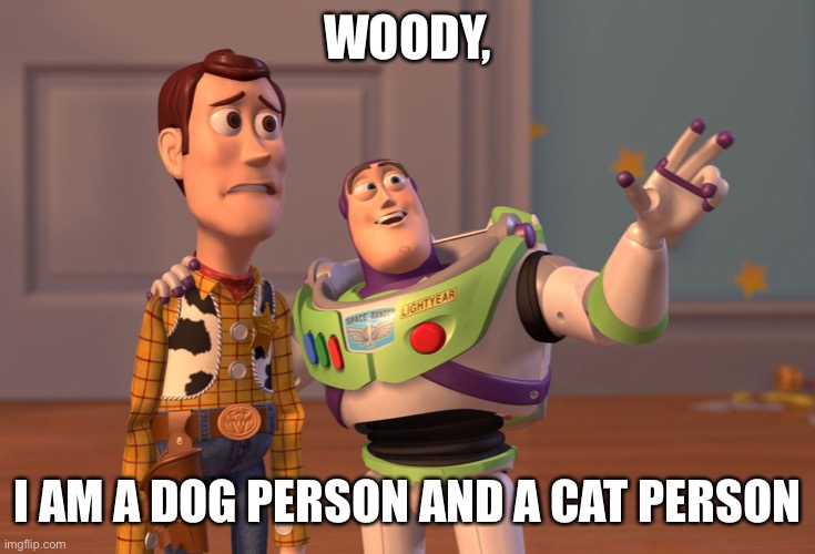 X, X Everywhere Meme | WOODY, I AM A DOG PERSON AND A CAT PERSON | image tagged in memes,x x everywhere | made w/ Imgflip meme maker