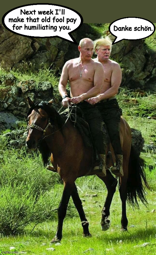 Putin Throwing Shade at Biden | Next week I'll make that old fool pay for humiliating you. Danke schön. | image tagged in trump putin | made w/ Imgflip meme maker