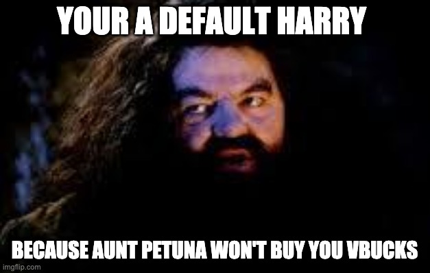 your a wizard harry | YOUR A DEFAULT HARRY; BECAUSE AUNT PETUNA WON'T BUY YOU VBUCKS | image tagged in your a wizard harry | made w/ Imgflip meme maker