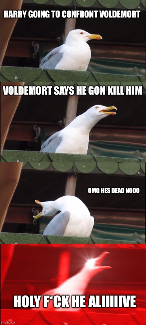 Inhaling Seagull | HARRY GOING TO CONFRONT VOLDEMORT; VOLDEMORT SAYS HE GON KILL HIM; OMG HES DEAD NOOO; HOLY F*CK HE ALIIIIIVE | image tagged in memes,inhaling seagull | made w/ Imgflip meme maker