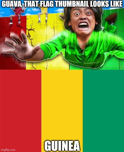 Guinea Juice | GUAVA, THAT FLAG THUMBNAIL LOOKS LIKE; GUINEA | image tagged in guava juice,guinea,africa,flag,look like,funny | made w/ Imgflip meme maker