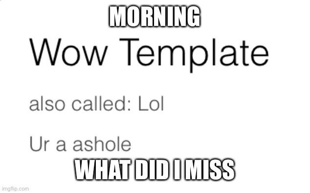 Wow lol ur a ashole | MORNING; WHAT DID I MISS | image tagged in wow lol ur a ashole | made w/ Imgflip meme maker