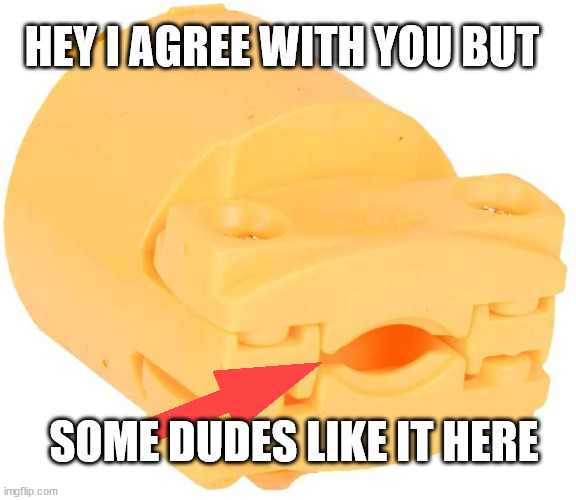 SOME DUDES LIKE IT HERE HEY I AGREE WITH YOU BUT | made w/ Imgflip meme maker