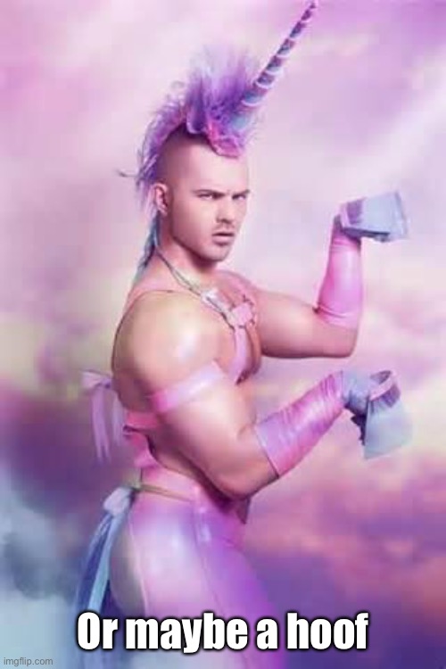 Gay Unicorn | Or maybe a hoof | image tagged in gay unicorn | made w/ Imgflip meme maker