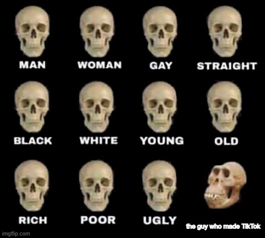 oof | the guy who made TikTok | image tagged in types of skull | made w/ Imgflip meme maker