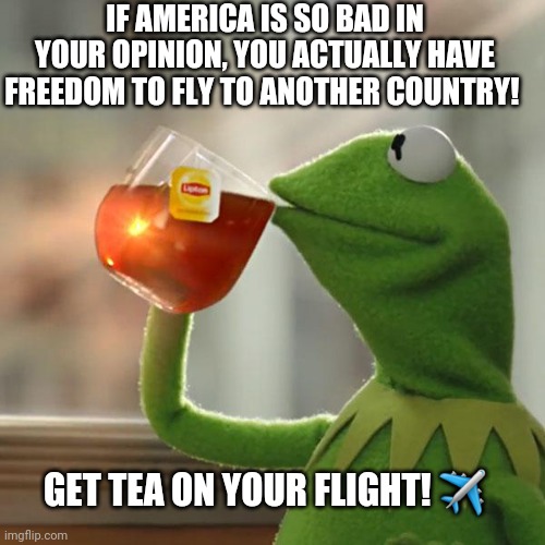 But That's None Of My Business | IF AMERICA IS SO BAD IN YOUR OPINION, YOU ACTUALLY HAVE FREEDOM TO FLY TO ANOTHER COUNTRY! GET TEA ON YOUR FLIGHT! ✈️ | image tagged in america,hate,freedom,politics,snowflakes,american flag | made w/ Imgflip meme maker