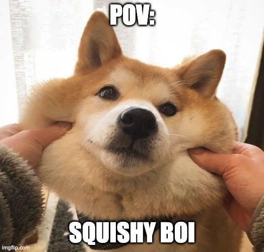 POV:; SQUISHY BOI | made w/ Imgflip meme maker