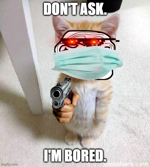 Don't even ask. I don't know myself. |  DON'T ASK. I'M BORED. | image tagged in memes,cute cat,deal with it,face mask,troll face | made w/ Imgflip meme maker