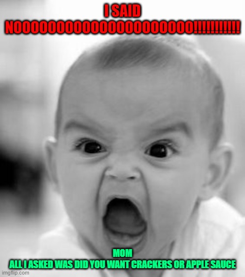 Angry Baby Meme | I SAID NOOOOOOOOOOOOOOOOOOOOO!!!!!!!!!!! MOM
ALL I ASKED WAS DID YOU WANT CRACKERS OR APPLE SAUCE | image tagged in memes,angry baby | made w/ Imgflip meme maker