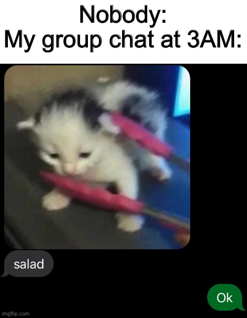 Nobody:
My group chat at 3AM: | image tagged in memes,funny | made w/ Imgflip meme maker