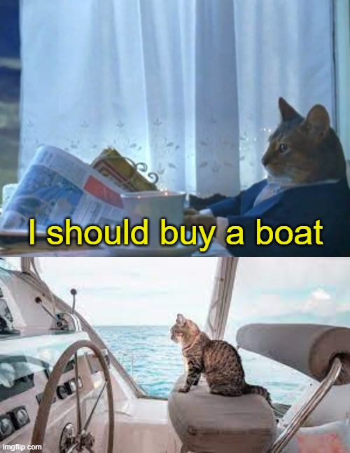 I should buy a boat | I should buy a boat | image tagged in memes,i should buy a boat cat,cat on boat | made w/ Imgflip meme maker