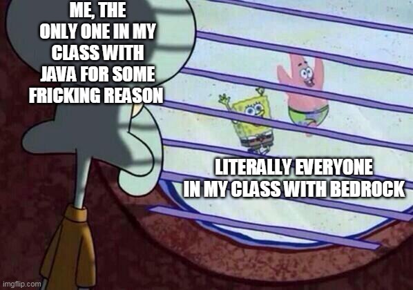 Squidward window | ME, THE ONLY ONE IN MY CLASS WITH JAVA FOR SOME FRICKING REASON; LITERALLY EVERYONE IN MY CLASS WITH BEDROCK | image tagged in squidward window | made w/ Imgflip meme maker