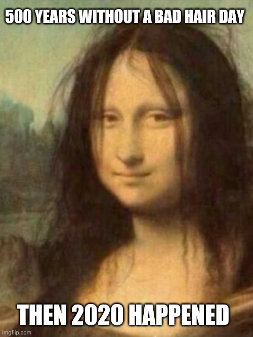 Bad Hair Day | 500 YEARS WITHOUT A BAD HAIR DAY; THEN 2020 HAPPENED | image tagged in bad hair day,2020,mona lisa,covid 19 memes,covid,funny | made w/ Imgflip meme maker