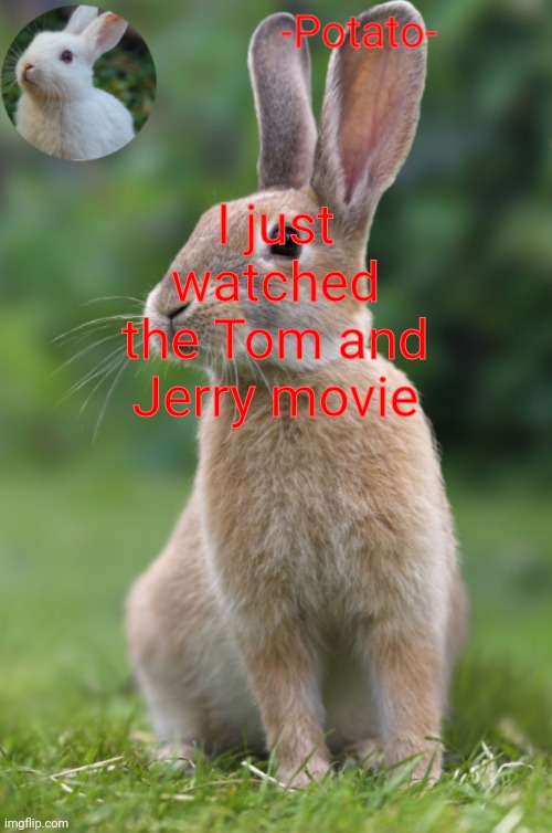 It was really funny XDDD | I just watched the Tom and Jerry movie | image tagged in -potato- rabbit announcement | made w/ Imgflip meme maker