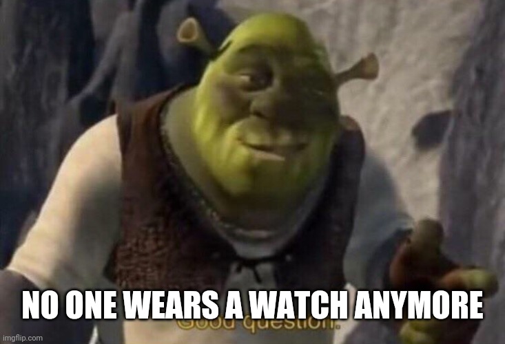 Shrek good question | NO ONE WEARS A WATCH ANYMORE | image tagged in shrek good question | made w/ Imgflip meme maker