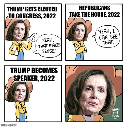 It's a heck of a theory | REPUBLICANS TAKE THE HOUSE, 2022; TRUMP GETS ELECTED TO CONGRESS, 2022; TRUMP BECOMES SPEAKER, 2022 | image tagged in yeah that makes sense,trump,speaker of the house,nancy pelosi | made w/ Imgflip meme maker