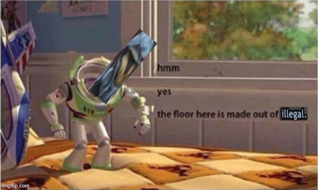 Hmm… yes, the floor here is made out of illegal Blank Meme Template