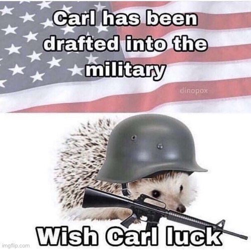 Wish Carl luck | image tagged in carl,army | made w/ Imgflip meme maker