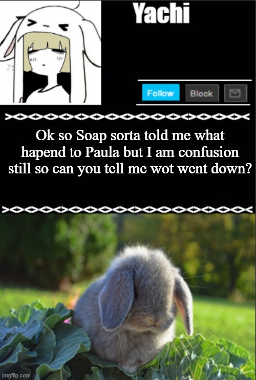 Yachi temp | Ok so Soap sorta told me what hapend to Paula but I am confusion still so can you tell me wot went down? | image tagged in yachi temp | made w/ Imgflip meme maker