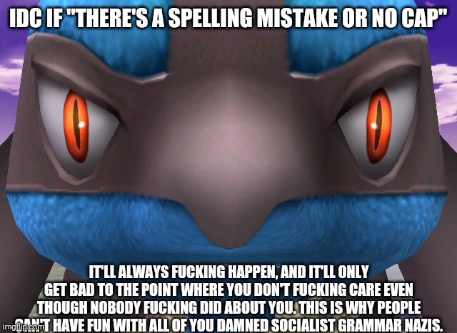 Idc if there's a spelling mistake or no cap | image tagged in idc if there's a spelling mistake or no cap,lucario | made w/ Imgflip meme maker