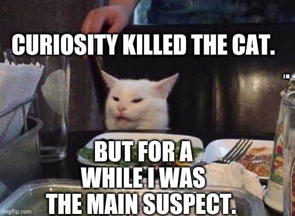 Salad cat | CURIOSITY KILLED THE CAT. BUT FOR A WHILE I WAS THE MAIN SUSPECT. J M | image tagged in salad cat | made w/ Imgflip meme maker