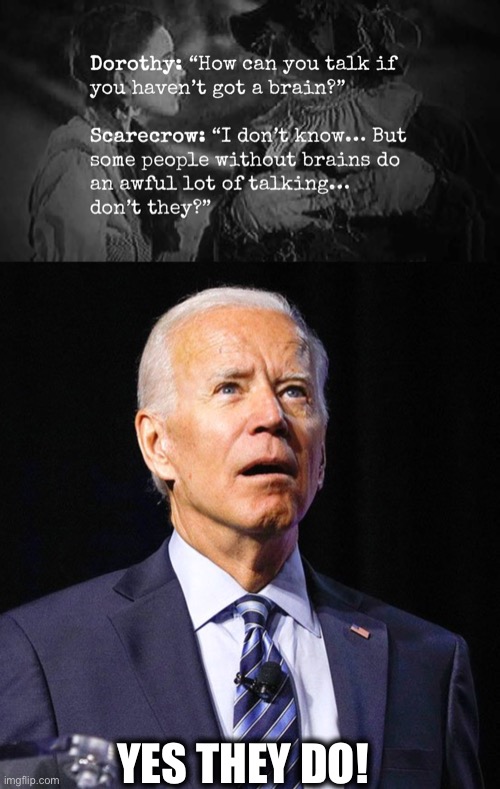 No brains | YES THEY DO! | image tagged in joe biden,wizard of oz scarecrow,brain,memes,dorothy | made w/ Imgflip meme maker
