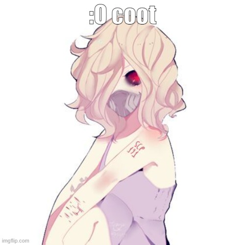 :O coot | made w/ Imgflip meme maker