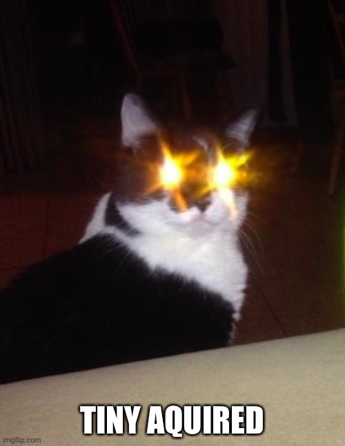 target aquired | TINY AQUIRED | image tagged in target aquired | made w/ Imgflip meme maker