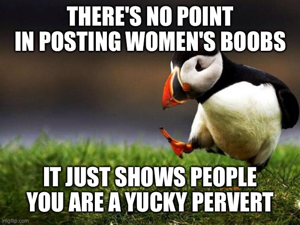 I want the mods to comment | THERE'S NO POINT IN POSTING WOMEN'S BOOBS; IT JUST SHOWS PEOPLE YOU ARE A YUCKY PERVERT | image tagged in memes,unpopular opinion puffin | made w/ Imgflip meme maker