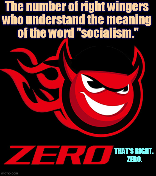 Ignorance is no defense. | The number of right wingers 
who understand the meaning 
of the word "socialism."; THAT'S RIGHT. 
ZERO. | image tagged in right wing,ignorant,socialism,different,communism | made w/ Imgflip meme maker