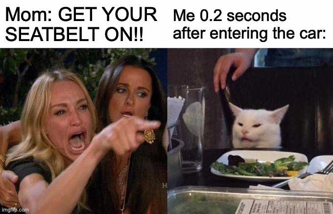 That's how it is for me | Mom: GET YOUR SEATBELT ON!! Me 0.2 seconds after entering the car: | image tagged in memes,woman yelling at cat | made w/ Imgflip meme maker