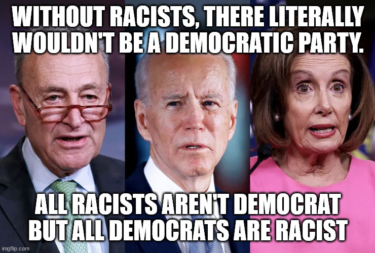 All racists aren't Democrat but all Democrats are racist | WITHOUT RACISTS, THERE LITERALLY WOULDN'T BE A DEMOCRATIC PARTY. ALL RACISTS AREN'T DEMOCRAT BUT ALL DEMOCRATS ARE RACIST | image tagged in racist,democrats | made w/ Imgflip meme maker
