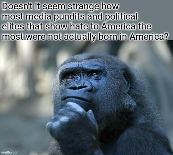 Research your favorite News Casters! | Doesn't it seem strange how most media pundits and political elites that show hate to America the most were not actually born in America? | image tagged in mainstream media,democrats,republicans,cnn crazy news network,cnn breaking news | made w/ Imgflip meme maker