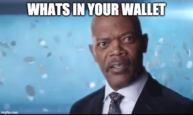 What's in Your Wallet | WHATS IN YOUR WALLET | image tagged in what's in your wallet | made w/ Imgflip meme maker