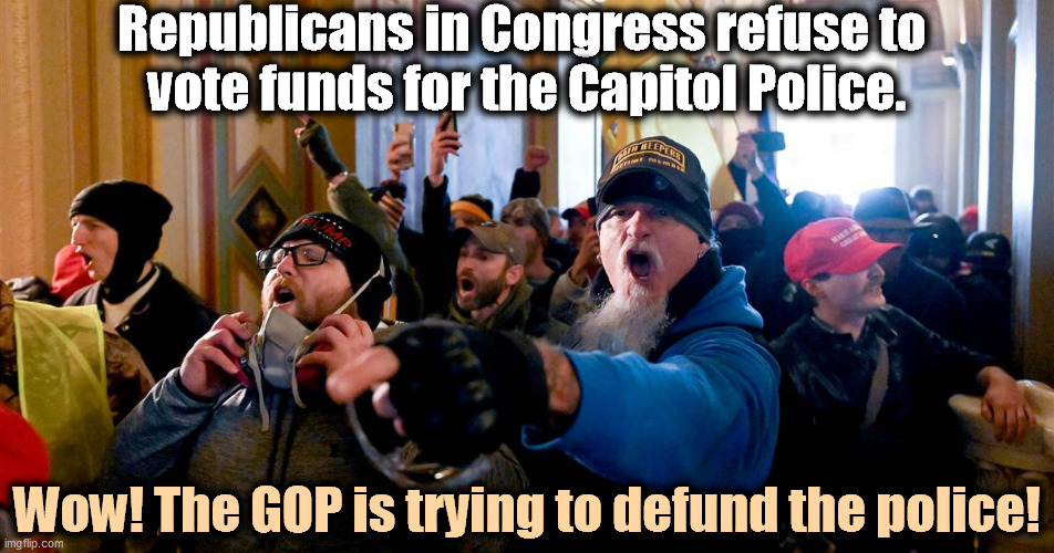 The Republican Party is no longer the Party of Law and Order. | Republicans in Congress refuse to 
vote funds for the Capitol Police. Wow! The GOP is trying to defund the police! | image tagged in capitol mob riot,republicans,hate,cops | made w/ Imgflip meme maker