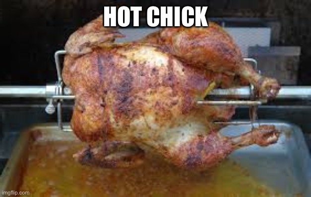 Hot chick | HOT CHICK | image tagged in roast chicken,chicks,hot girl,hot or not | made w/ Imgflip meme maker