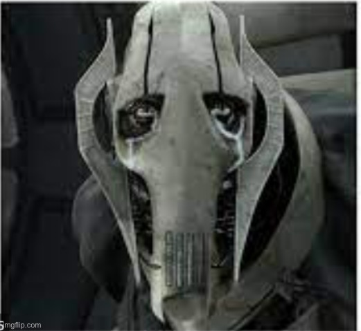 Sad General Grievous | image tagged in sad general grievous | made w/ Imgflip meme maker