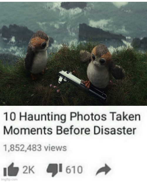 Uh oh | image tagged in star wars,porg,lightsaber,memes,funny | made w/ Imgflip meme maker