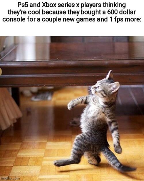 Swagger cat | Ps5 and Xbox series x players thinking they're cool because they bought a 600 dollar console for a couple new games and 1 fps more: | image tagged in swagger cat | made w/ Imgflip meme maker