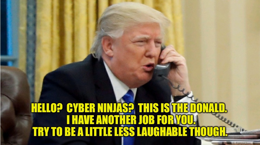 Trump on phone | HELLO?  CYBER NINJAS?  THIS IS THE DONALD. 
 I HAVE ANOTHER JOB FOR YOU.
TRY TO BE A LITTLE LESS LAUGHABLE THOUGH. | image tagged in trump on phone | made w/ Imgflip meme maker